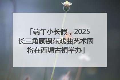 端午小长假，2025长三角顾锡东戏曲艺术周将在西塘古镇举办