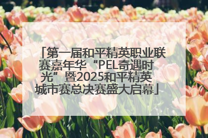 第一届和平精英职业联赛嘉年华“PEL奇遇时光”暨2025和平精英城市赛总决赛盛大启幕