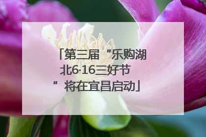 第三届“乐购湖北6·16三好节”将在宜昌启动