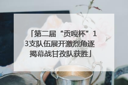 第二届“贡嘎杯”13支队伍展开激烈角逐 揭幕战甘孜队获胜