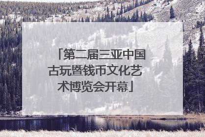 第二届三亚中国古玩暨钱币文化艺术博览会开幕