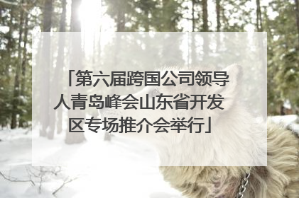 第六届跨国公司领导人青岛峰会山东省开发区专场推介会举行