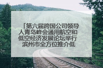 第六届跨国公司领导人青岛峰会通用航空和低空经济发展论坛举行 滨州市全方位推介低空经济发展优势
