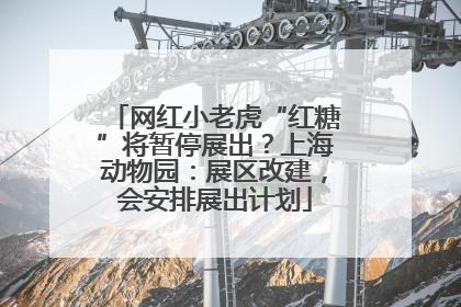 网红小老虎“红糖”将暂停展出？上海动物园：展区改建，会安排展出计划