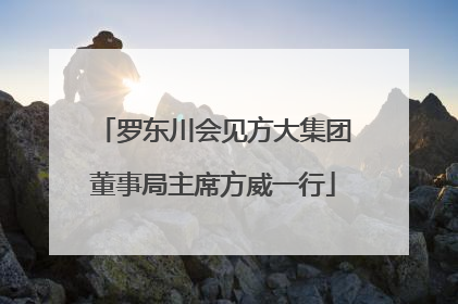罗东川会见方大集团董事局主席方威一行