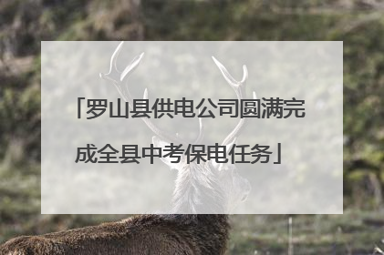 罗山县供电公司圆满完成全县中考保电任务