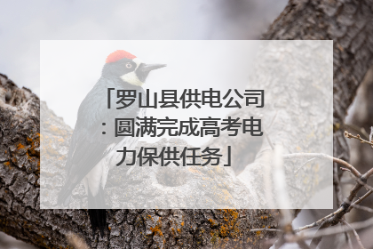 罗山县供电公司：圆满完成高考电力保供任务