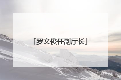 罗文俊任副厅长