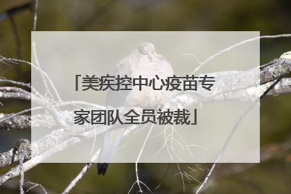 美疾控中心疫苗专家团队全员被裁