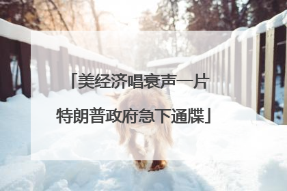 美经济唱衰声一片 特朗普政府急下通牒
