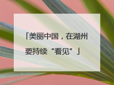 美丽中国，在湖州要持续“看见”