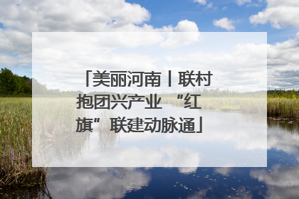 美丽河南丨联村抱团兴产业 “红旗”联建动脉通