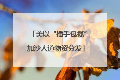 美以“插手包揽”加沙人道物资分发