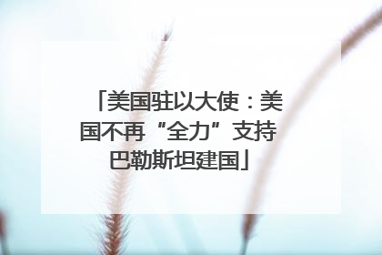 美国驻以大使：美国不再“全力”支持巴勒斯坦建国