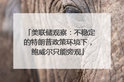 美联储观察：不稳定的特朗普政策环境下，鲍威尔只能旁观