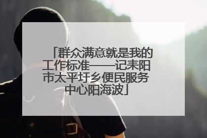 群众满意就是我的工作标准——记耒阳市太平圩乡便民服务中心阳海波