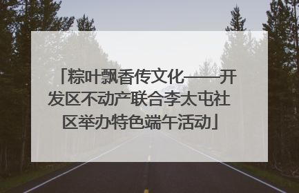 粽叶飘香传文化——开发区不动产联合李太屯社区举办特色端午活动