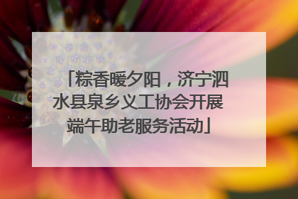 粽香暖夕阳，济宁泗水县泉乡义工协会开展端午助老服务活动
