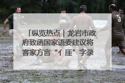 纵览热点｜龙岩市政府致函国家语委建议将客家方言“亻厓”字录入《新华字典》引发热议，当地回应