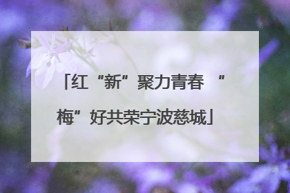 红“新”聚力青春 “梅”好共荣宁波慈城