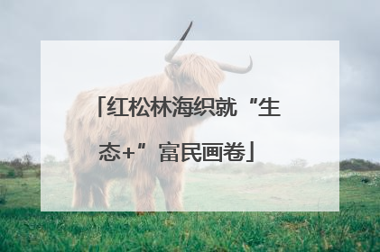 红松林海织就“生态+”富民画卷