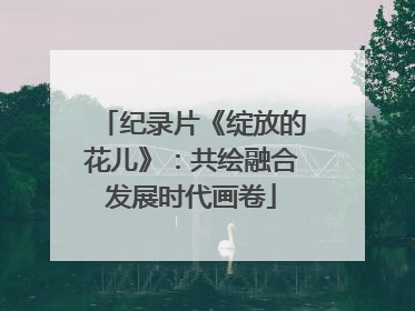 纪录片《绽放的花儿》：共绘融合发展时代画卷