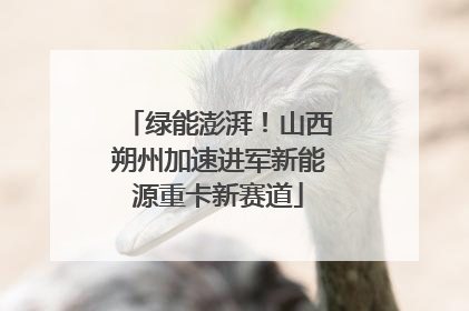 绿能澎湃！山西朔州加速进军新能源重卡新赛道