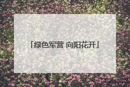 绿色军营 向阳花开