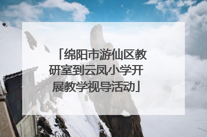 绵阳市游仙区教研室到云凤小学开展教学视导活动