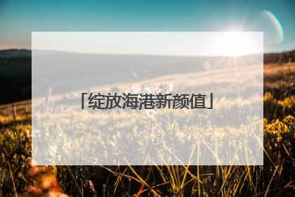 绽放海港新颜值