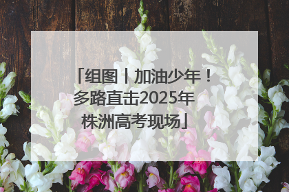 组图丨加油少年！多路直击2025年株洲高考现场