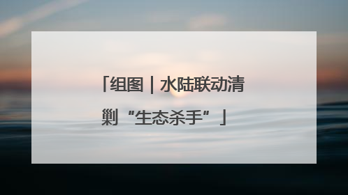 组图｜水陆联动清剿“生态杀手”