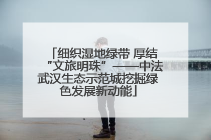 细织湿地绿带 厚结“文旅明珠”——中法武汉生态示范城挖掘绿色发展新动能
