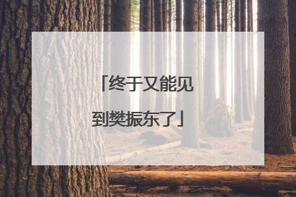 终于又能见到樊振东了