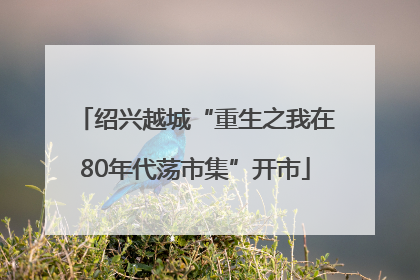 绍兴越城“重生之我在80年代荡市集”开市