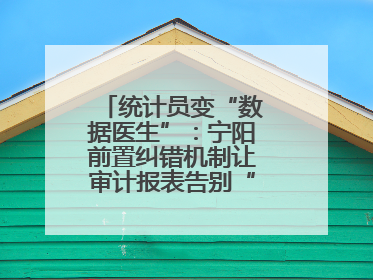 统计员变“数据医生”：宁阳前置纠错机制让审计报表告别“带病上岗”