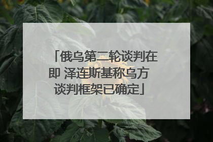 俄乌第二轮谈判在即 泽连斯基称乌方谈判框架已确定