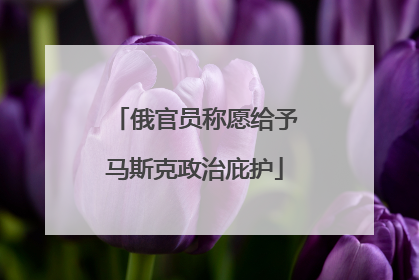 俄官员称愿给予马斯克政治庇护