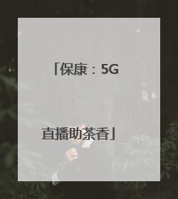 保康：5G直播助茶香