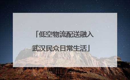 低空物流配送融入武汉民众日常生活
