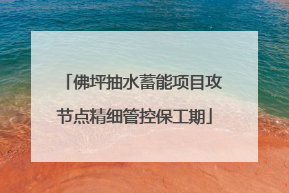 佛坪抽水蓄能项目攻节点精细管控保工期