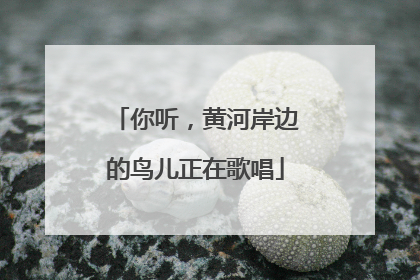 你听，黄河岸边的鸟儿正在歌唱