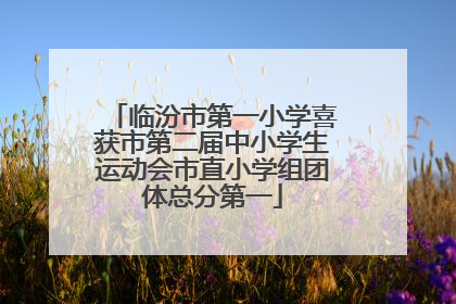 临汾市第一小学喜获市第二届中小学生运动会市直小学组团体总分第一