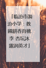 临汾市漪汾小学：教圃耕香育桃李 杏坛沐露润英才