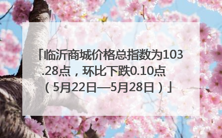 临沂商城价格总指数为103.28点，环比下跌0.10点（5月22日—5月28日）