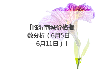 临沂商城价格指数分析（6月5日—6月11日）