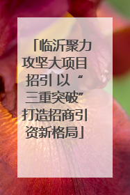 临沂聚力攻坚大项目招引 以“三重突破”打造招商引资新格局