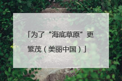 为了“海底草原”更繁茂（美丽中国）