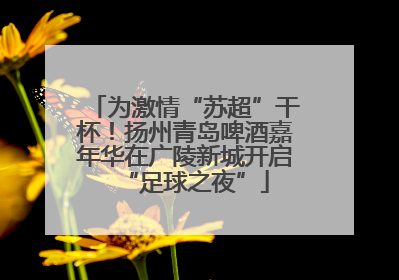 为激情“苏超”干杯！扬州青岛啤酒嘉年华在广陵新城开启“足球之夜”