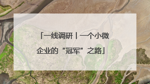 一线调研丨一个小微企业的“冠军”之路